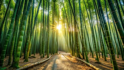 A serene bamboo grove with sunlight filtering through the dense canopy, casting intricate shadows on the forest floor