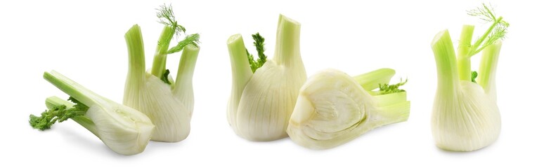 Raw fennel bulbs isolated on white, set