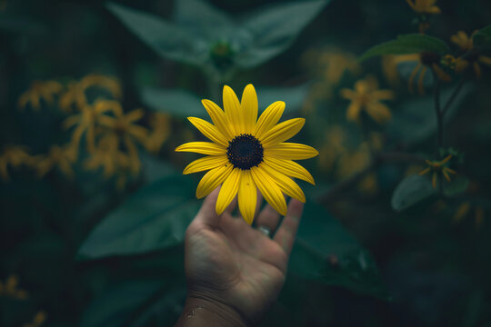 A hand is holding a bright yellow flower in front of a blurred background of green foliage