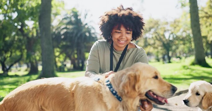 Volunteer, woman and dogs outdoor with smile of support staff with community service in a park. Volunteering, animal shelter and fun with helping for charity and nature with pet and NGO at garden
