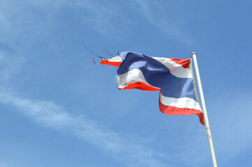 flag of the Thailand