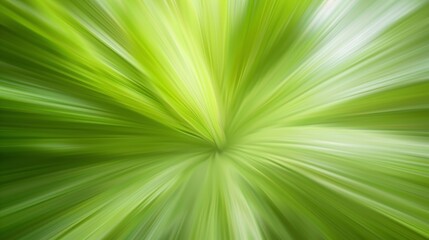 Obraz premium An Abstract Blur Of Green Color, Creating A Soft And Natural Background, High Quality