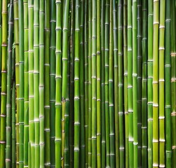 background, pattern, texture, asia, wood, japanese, japan, zen