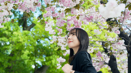 スーツを着た若い女性と桜のポートレートムービー