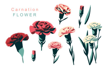 carnation object element.use for mother's day design