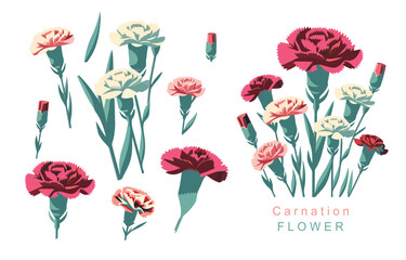carnation object element.use for mother's day design