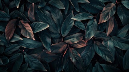 Abstract Natural Leaves Shadows Background, Adding Depth And Texture To The Scene, High Quality
