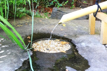 醬油と味噌製造のヤマキ醸造　工場直売所糀庵の日本庭園のつくばい