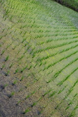 Mt.Hokyo is a 461-meter-high mountain located in the northeastern part of Tsukuba City, Ibaraki JAPAN. To the east, you can see Kasumigaura, which is the second largest in Japan, and the Pacific Ocean