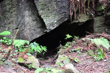 Mt.Hokyo is a 461-meter-high mountain located in the northeastern part of Tsukuba City, Ibaraki JAPAN. To the east, you can see Kasumigaura, which is the second largest in Japan, and the Pacific Ocean