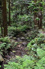 Mt.Hokyo is a 461-meter-high mountain located in the northeastern part of Tsukuba City, Ibaraki JAPAN. To the east, you can see Kasumigaura, which is the second largest in Japan, and the Pacific Ocean