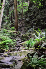 Fototapeta premium Mt.Hokyo is a 461-meter-high mountain located in the northeastern part of Tsukuba City, Ibaraki JAPAN. To the east, you can see Kasumigaura, which is the second largest in Japan, and the Pacific Ocean