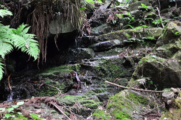 Mt.Hokyo is a 461-meter-high mountain located in the northeastern part of Tsukuba City, Ibaraki JAPAN. To the east, you can see Kasumigaura, which is the second largest in Japan, and the Pacific Ocean