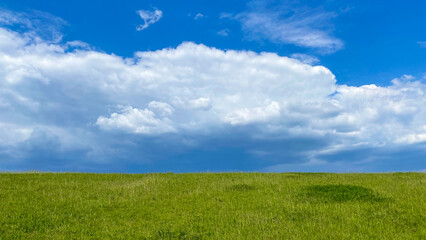 Obraz premium green field and blue sky landscape