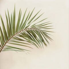 A leafy green palm tree branch is shown in a white background