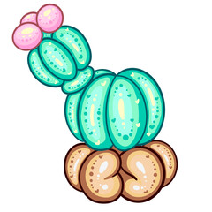 cactus balloon