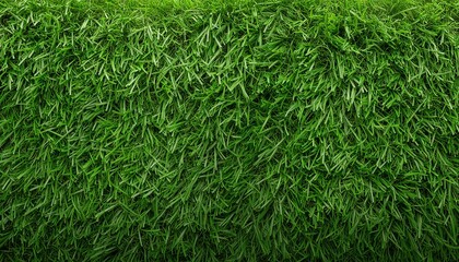 Title: Lush Green Grass Texture Wallpaper Background