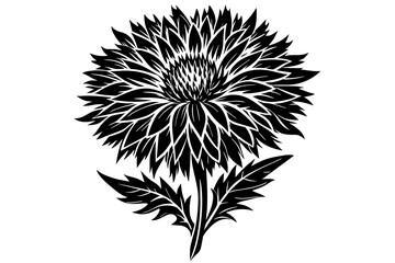 cornflower vector silhouette illustration