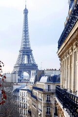 Amazing view of Paris with the Eiffel tower