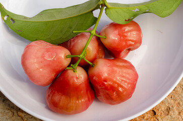 Java Apples In A Plate