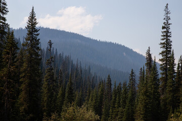 Obraz premium Canadian Rockies, Banff National Park, Alberta, Canada. 