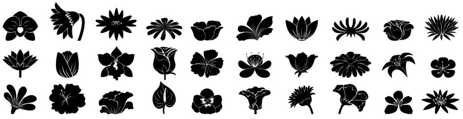 flowers silhouette