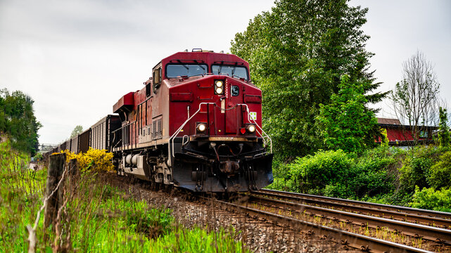 Locomotive lead a coal loaded train.