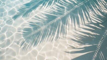 Top view of tropical leaf shadow on the water surface. Shadow of palm leaves on white sand beach. Turquoise abstract background. Summer holiday concept. © CozyNessAI