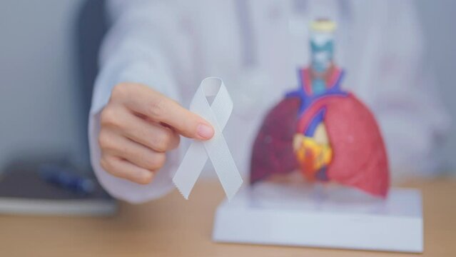 November Lung Cancer Awareness month. Doctor with Smoker Lung anatomy model and White ribbon in hospital. Healthcare and World Cancer day concept
