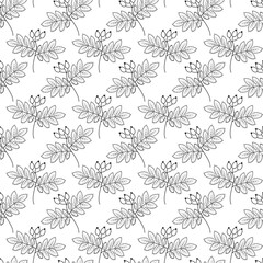 Rosehip with berries and leaves Seamless pattern Monochrome Sketch Hand drawn Botanical background