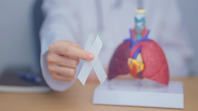 November Lung Cancer Awareness month. Doctor with Smoker Lung anatomy model and White ribbon in hospital. Healthcare and World Cancer day concept