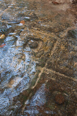 The river of 1000 Lingas