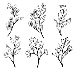 floral line art collection
