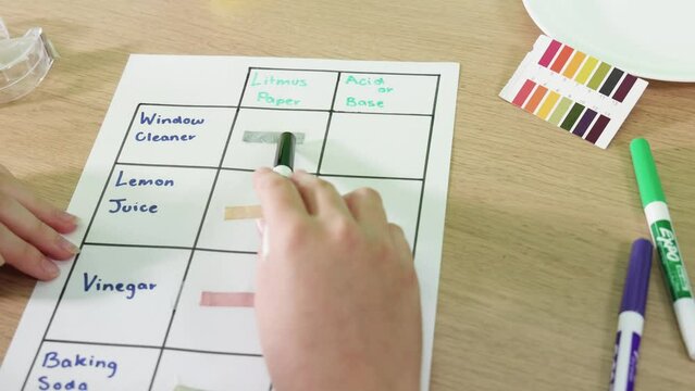 Testing Substances with Litmus Paper