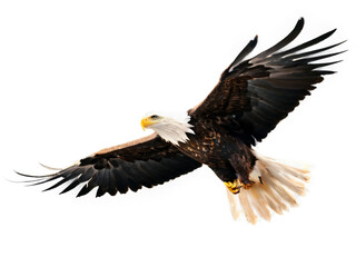 Obraz premium eye in the sky