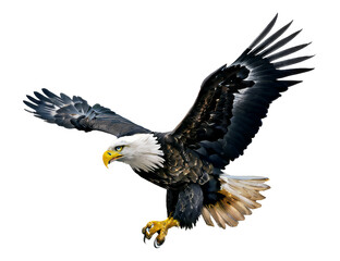 Fototapeta premium standing