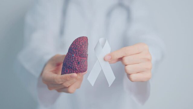November Lung Cancer Awareness month. Doctor with Smoker Lung anatomy model and White ribbon in hospital. Healthcare and World Cancer day concept