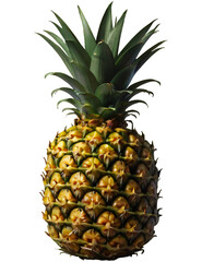 Fototapeta premium pineapple