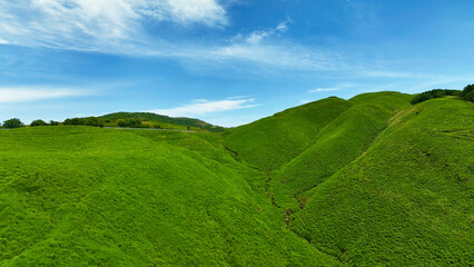 山林の風景　空撮