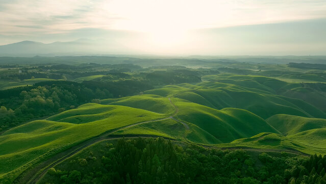Drone aerial shots of spectacular greenery landscapes and blue sky. Dynamic natural scenery.