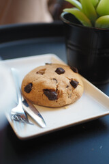  chocolate chip cookies on a plate 