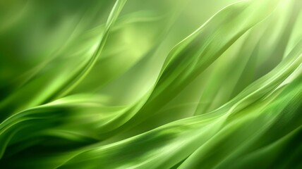 Nature-inspired abstract green backdrop with smooth textures and copy space for eco themes,