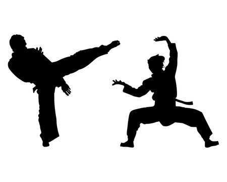Pencak silat is a traditional martial art originating from Indonesia
