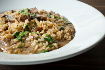 A closeup view of a mushroom risotto entree.