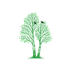 Obraz premium oak birch tree with 2 birds singing silhouette