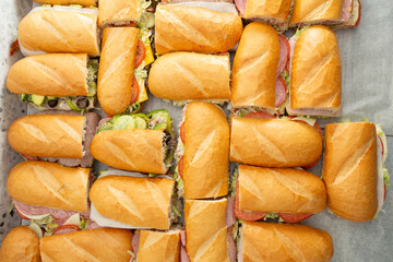A top down view of several half sandwiches.