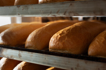 A view of several grinder rolls on a large bread rack.