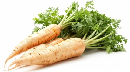 Fresh and organic carrots. A great source of vitamins and minerals.