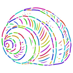 Line art doodle illustration of a sea shell conch