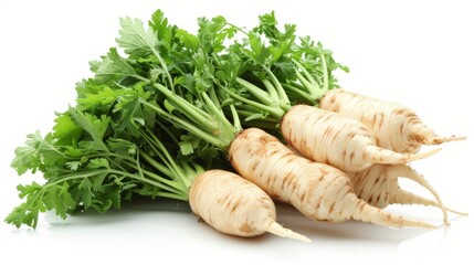 Fresh organic parsley root vegetable, a biennial plant of the carrot family